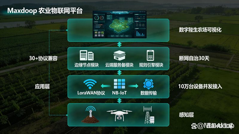 农业技术研究：推动现代农业转型升级的引擎